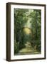 Burlington, Vermont, View of a Drive in Ethan Allen Park-Lantern Press-Framed Art Print