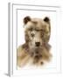 Burly Bear-Hegre Kristine-Framed Giclee Print