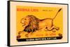 Burma Lion-null-Framed Stretched Canvas