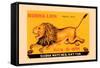 Burma Lion-null-Framed Stretched Canvas