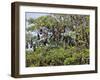 Burma, Rakhine State, Fruit Bats Spend the Day Hanging from the Branches of Large Trees, Myanmar-Nigel Pavitt-Framed Photographic Print