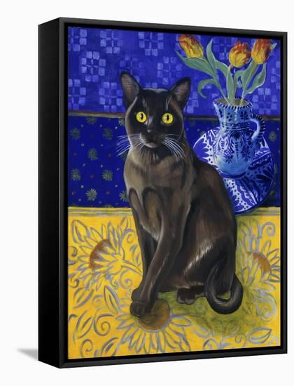 Burmese Cat, Series I-Isy Ochoa-Framed Stretched Canvas