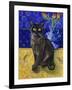 Burmese Cat, Series I-Isy Ochoa-Framed Giclee Print