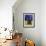 Burmese Cat, Series I-Isy Ochoa-Framed Giclee Print displayed on a wall