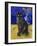 Burmese Cat, Series I-Isy Ochoa-Framed Giclee Print