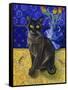 Burmese Cat, Series I-Isy Ochoa-Framed Stretched Canvas