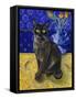 Burmese Cat, Series I-Isy Ochoa-Framed Stretched Canvas