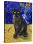 Burmese Cat, Series I-Isy Ochoa-Stretched Canvas