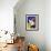 Burmese Cat, Series I-Isy Ochoa-Framed Giclee Print displayed on a wall