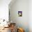 Burmese Cat, Series I-Isy Ochoa-Mounted Giclee Print displayed on a wall