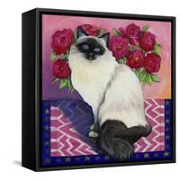 Burmese Cat, Series II-Isy Ochoa-Framed Stretched Canvas