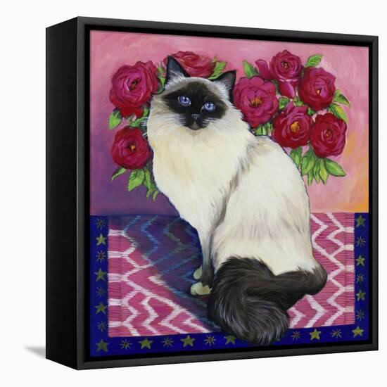 Burmese Cat, Series II-Isy Ochoa-Framed Stretched Canvas