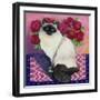 Burmese Cat, Series II-Isy Ochoa-Framed Giclee Print