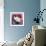 Burmese Cat, Series II-Isy Ochoa-Framed Giclee Print displayed on a wall