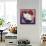 Burmese Cat, Series II-Isy Ochoa-Framed Stretched Canvas displayed on a wall