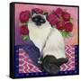 Burmese Cat, Series II-Isy Ochoa-Framed Stretched Canvas