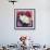 Burmese Cat, Series II-Isy Ochoa-Framed Giclee Print displayed on a wall