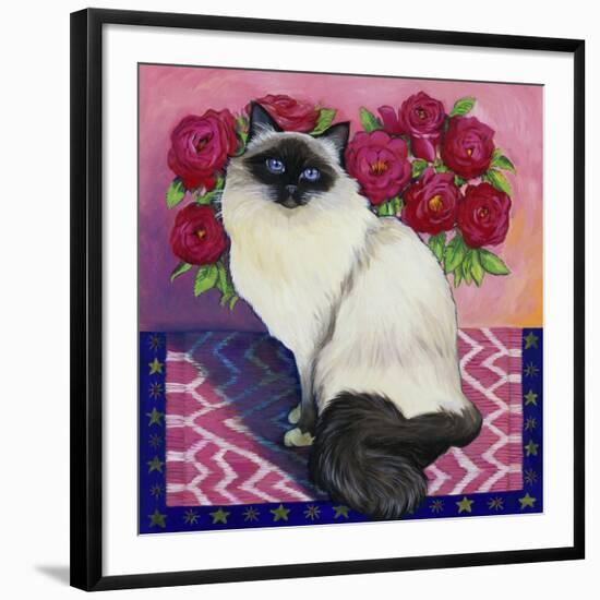 Burmese Cat, Series II-Isy Ochoa-Framed Giclee Print