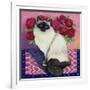 Burmese Cat, Series II-Isy Ochoa-Framed Giclee Print