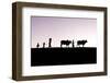 Burmese farmers and bulls walk at sunset along the crest of a hill, Bagan, Myanmar-Tim Mannakee-Framed Photographic Print