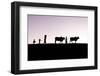 Burmese farmers and bulls walk at sunset along the crest of a hill, Bagan, Myanmar-Tim Mannakee-Framed Photographic Print