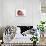 Burmese Kitten in a Christmas Hat-Mark Taylor-Photographic Print displayed on a wall