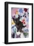 Burmese Kitten on Quilt-DLILLC-Framed Photographic Print