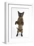 Burmese Male Cat, Murray, 9 Months, Standing on Hind Legs-Mark Taylor-Framed Photographic Print