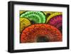 Burmese Parasols-Jon Hicks-Framed Photographic Print