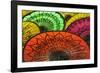 Burmese Parasols-Jon Hicks-Framed Photographic Print