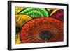 Burmese Parasols-Jon Hicks-Framed Photographic Print