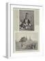 Burmese Past Royalty-null-Framed Giclee Print