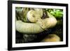 Burmese Python (Albino)-Gary Carter-Framed Photographic Print