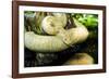 Burmese Python (Albino)-Gary Carter-Framed Photographic Print