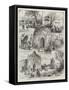 Burmese Sketches-null-Framed Stretched Canvas