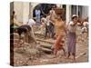 Burmese Women Hauling Rocks and Bricks Labor on a Construction Site-null-Stretched Canvas