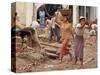 Burmese Women Hauling Rocks and Bricks Labor on a Construction Site-null-Stretched Canvas