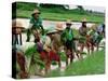 Burmese Women Plant Rice at the Beginning of the Monsoon Season-null-Stretched Canvas