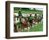 Burmese Women Plant Rice at the Beginning of the Monsoon Season-null-Framed Photographic Print