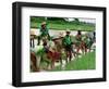 Burmese Women Plant Rice at the Beginning of the Monsoon Season-null-Framed Photographic Print