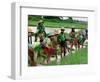 Burmese Women Plant Rice at the Beginning of the Monsoon Season-null-Framed Photographic Print