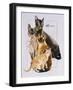 Burmese-Barbara Keith-Framed Giclee Print