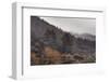 Burned Canary pine trees, La Palma Island, Canary Islands, Spain, Europe-Sergio Pitamitz-Framed Photographic Print