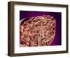 Burned Tip of Cigarette-Micro Discovery-Framed Photographic Print