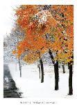 SnowFall-Burney Lieberman-Stretched Canvas