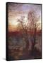 Burnham Beeches, C1841-1902-Andrew Maccallum-Framed Stretched Canvas