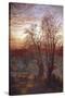 Burnham Beeches, C1841-1902-Andrew Maccallum-Stretched Canvas