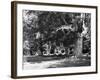 Burnham Beeches-Fred Musto-Framed Photographic Print