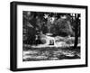 Burnham Beeches-J. Chettlburgh-Framed Photographic Print