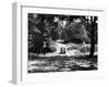 Burnham Beeches-J. Chettlburgh-Framed Photographic Print